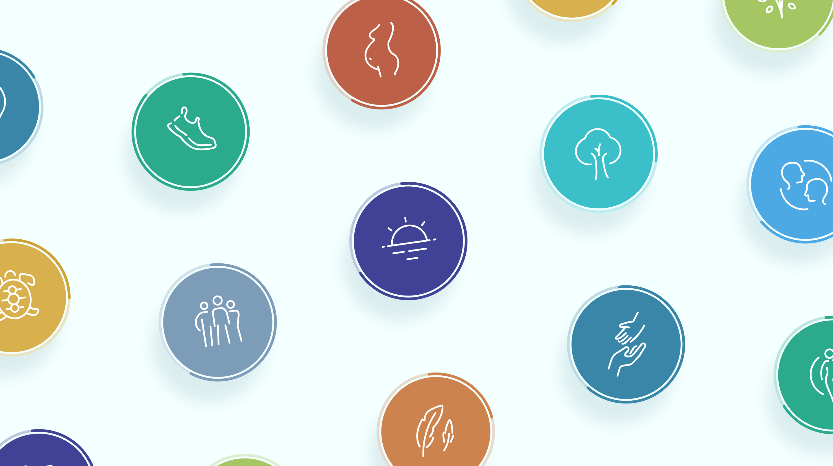 petit-bambou image 1